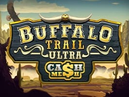 Buffalo Trail Ultra